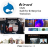 Drupal Enterprise